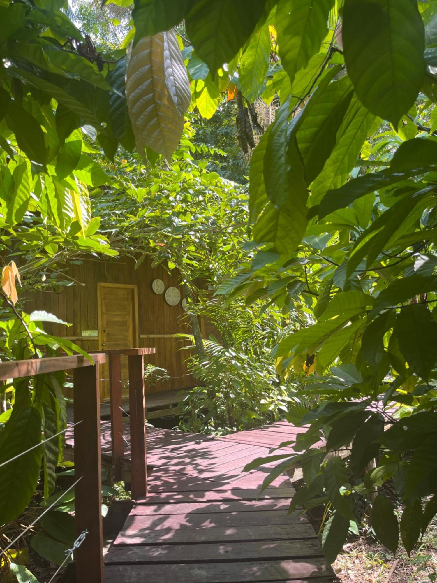 Olaria River Hostel Belem  Exterior photo