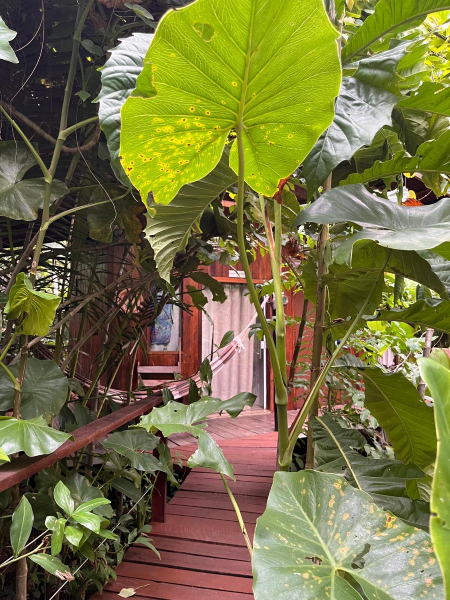 Olaria River Hostel Belem  Exterior photo