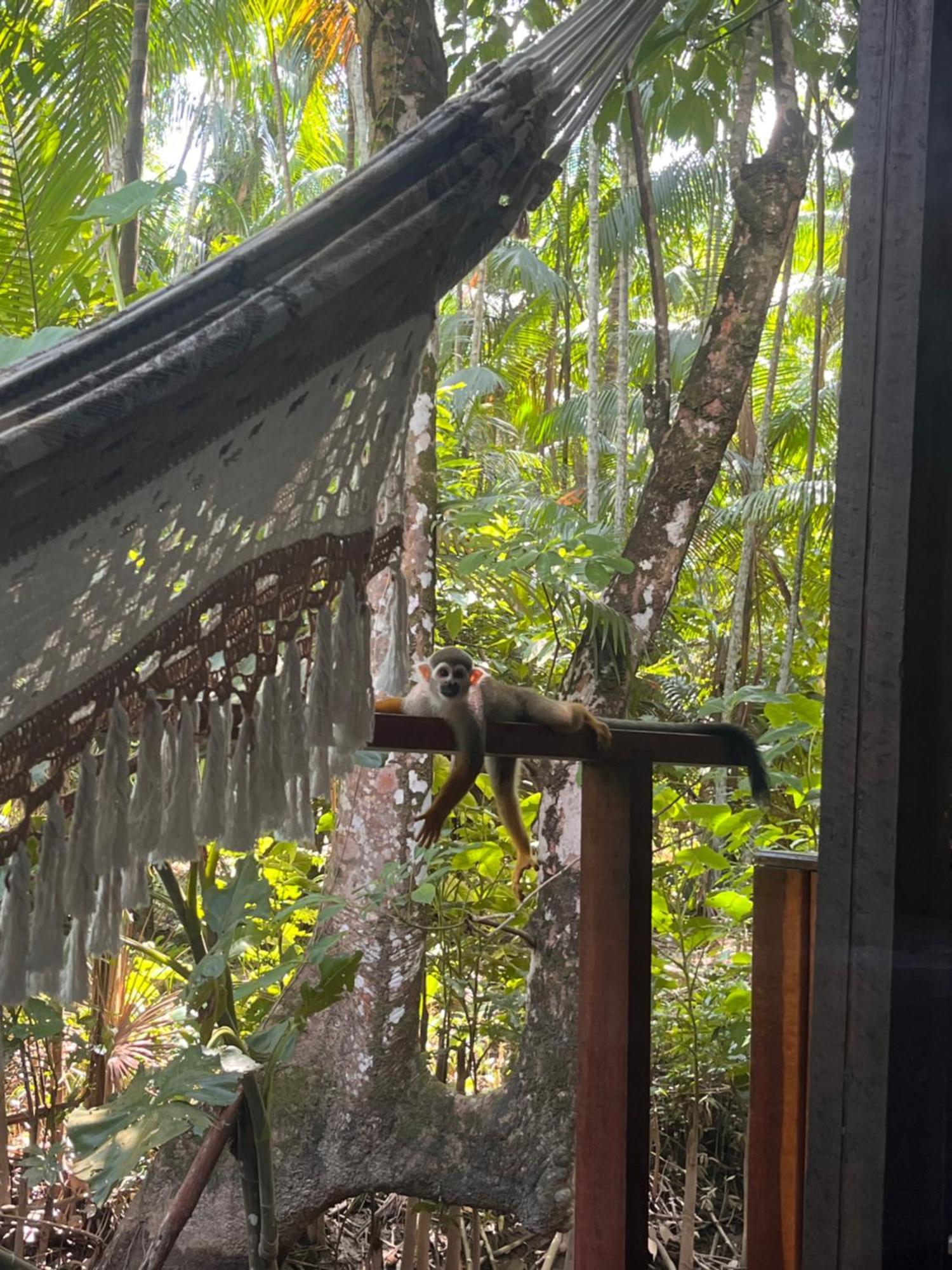 Olaria River Hostel Belem  Exterior photo